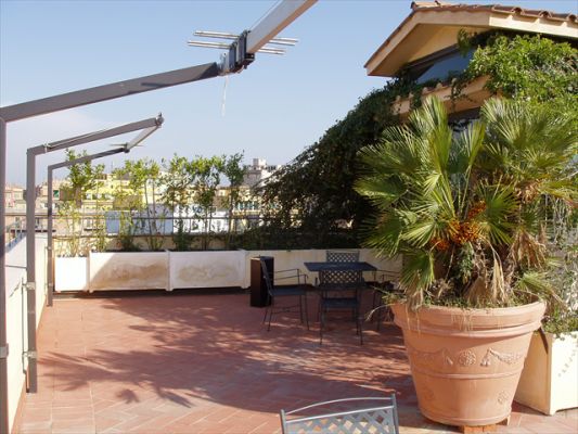 Klicken f�r Bild in voller Gr�sse