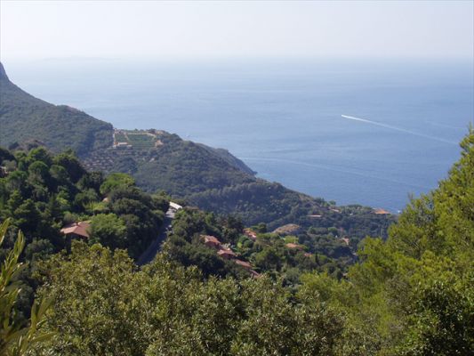 Klicken f�r Bild in voller Gr�sse