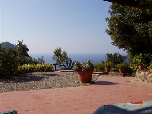 Klicken f�r Bild in voller Gr�sse