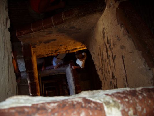 Klicken f�r Bild in voller Gr�sse