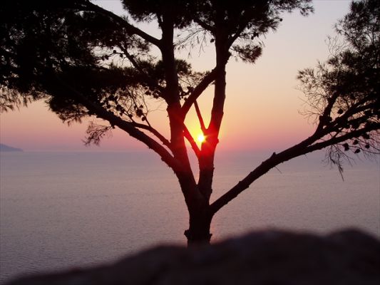 Klicken f�r Bild in voller Gr�sse