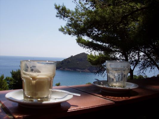 Klicken f�r Bild in voller Gr�sse