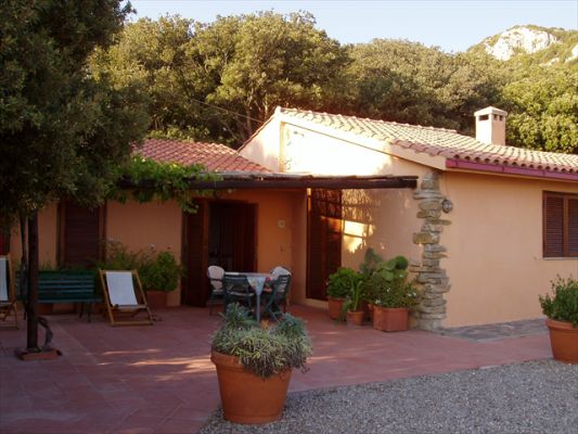 Klicken f�r Bild in voller Gr�sse