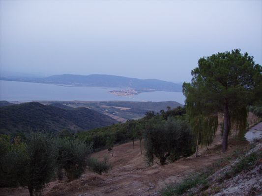 Klicken f�r Bild in voller Gr�sse