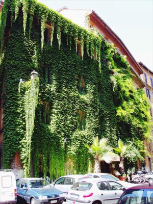 Klicken f�r Bild in voller Gr�sse