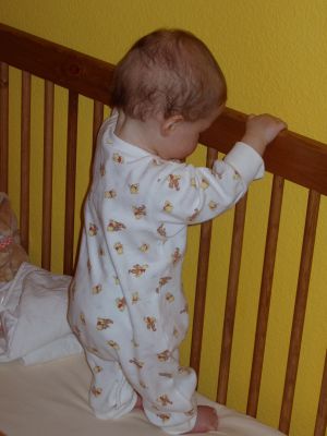 Klicken f�r Bild in voller Gr�sse