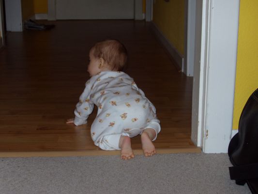 Klicken f�r Bild in voller Gr�sse