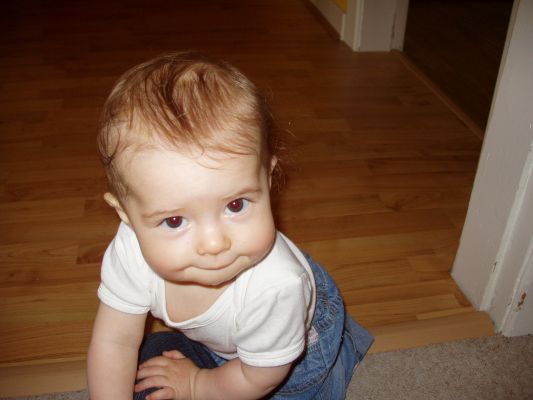 Klicken f�r Bild in voller Gr�sse