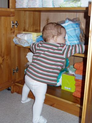 Klicken f�r Bild in voller Gr�sse