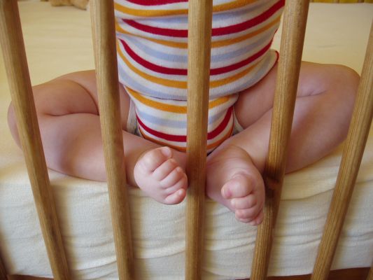 Klicken f�r Bild in voller Gr�sse