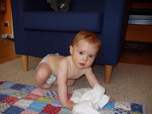 Klicken f�r Bild in voller Gr�sse