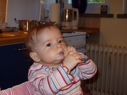 Klicken f�r Bild in voller Gr�sse