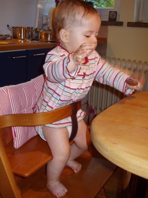 Klicken f�r Bild in voller Gr�sse