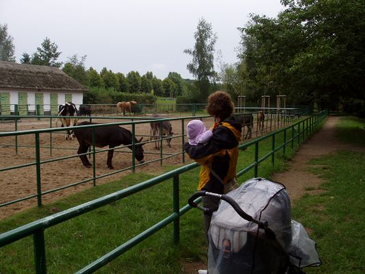 Klicken f�r Bild in voller Gr�sse