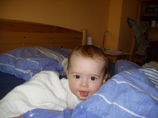 Klicken f�r Bild in voller Gr�sse