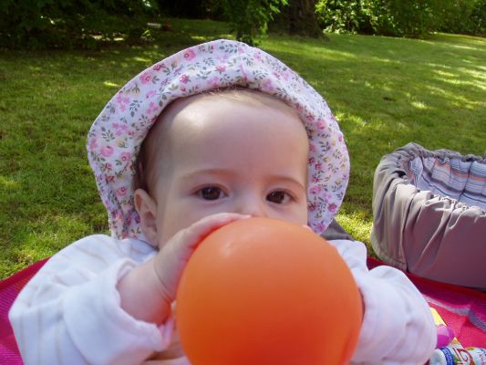 Klicken f�r Bild in voller Gr�sse