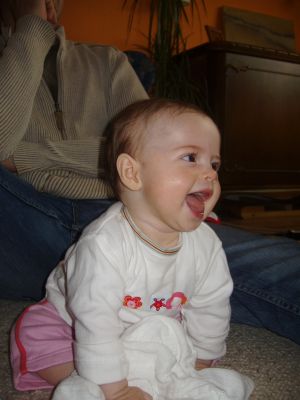 Klicken f�r Bild in voller Gr�sse