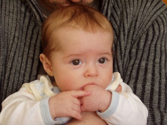 Klicken f�r Bild in voller Gr�sse