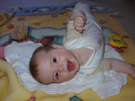 Klicken f�r Bild in voller Gr�sse