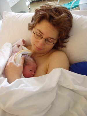 Klicken f�r Bild in voller Gr�sse