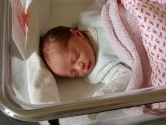 Klicken f�r Bild in voller Gr�sse