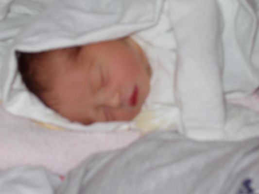 Klicken f�r Bild in voller Gr�sse