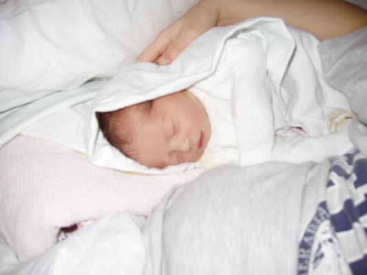 Klicken f�r Bild in voller Gr�sse