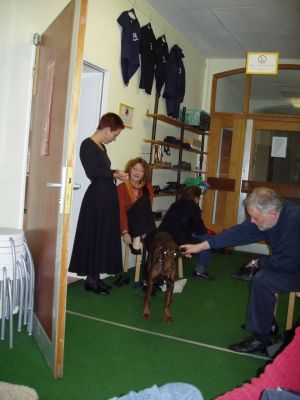 Klicken f�r Bild in voller Gr�sse