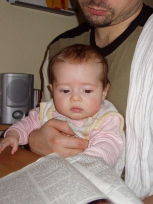 Klicken f�r Bild in voller Gr�sse