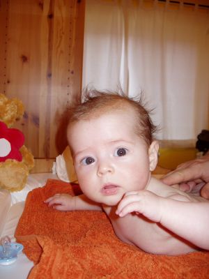 Klicken f�r Bild in voller Gr�sse