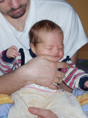 Klicken f�r Bild in voller Gr�sse