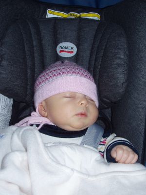 Klicken f�r Bild in voller Gr�sse