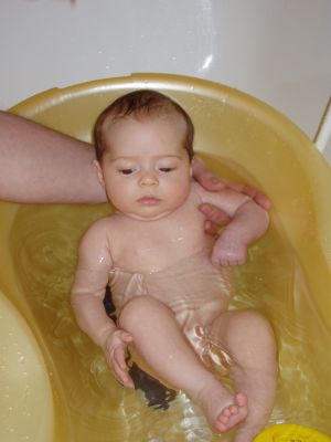 Klicken f�r Bild in voller Gr�sse