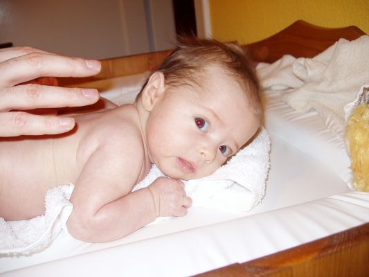 Klicken f�r Bild in voller Gr�sse