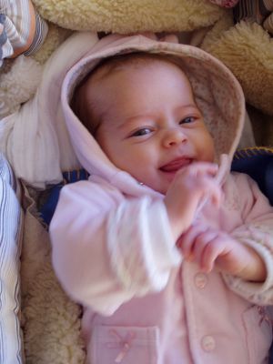 Klicken f�r Bild in voller Gr�sse