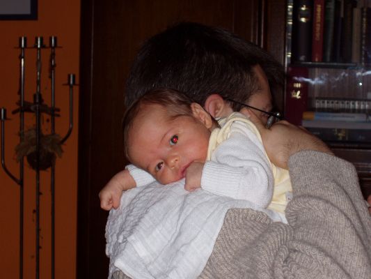 Klicken f�r Bild in voller Gr�sse