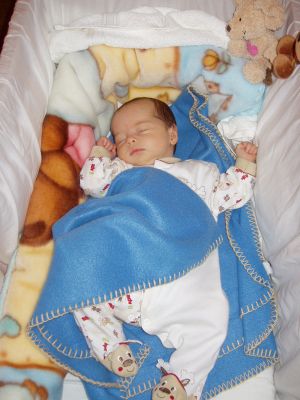 Klicken f�r Bild in voller Gr�sse