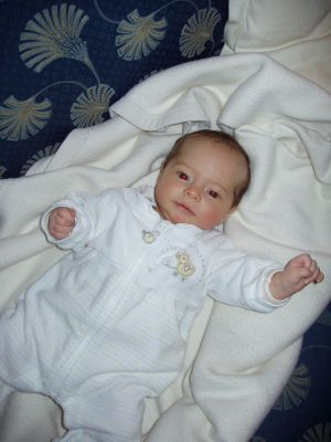 Klicken f�r Bild in voller Gr�sse