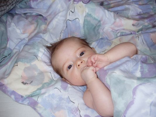 Klicken f�r Bild in voller Gr�sse