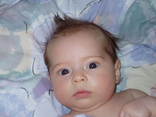 Klicken f�r Bild in voller Gr�sse