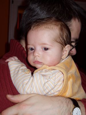 Klicken f�r Bild in voller Gr�sse