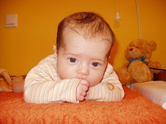 Klicken f�r Bild in voller Gr�sse