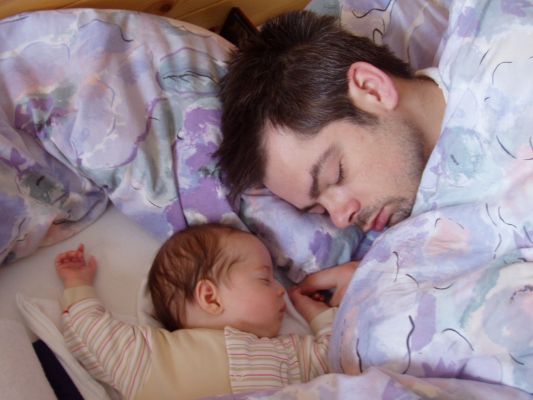 Klicken f�r Bild in voller Gr�sse