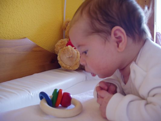 Klicken f�r Bild in voller Gr�sse