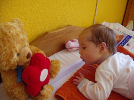 Klicken f�r Bild in voller Gr�sse