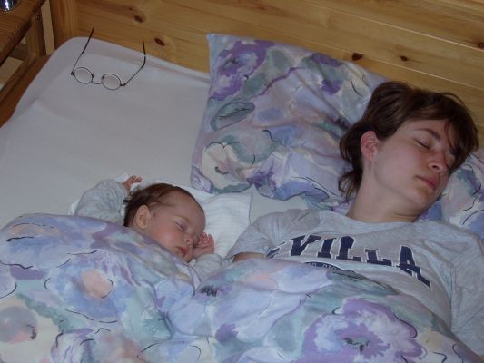 Klicken f�r Bild in voller Gr�sse