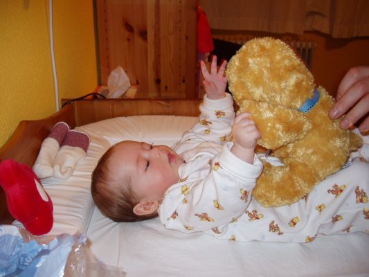 Klicken f�r Bild in voller Gr�sse